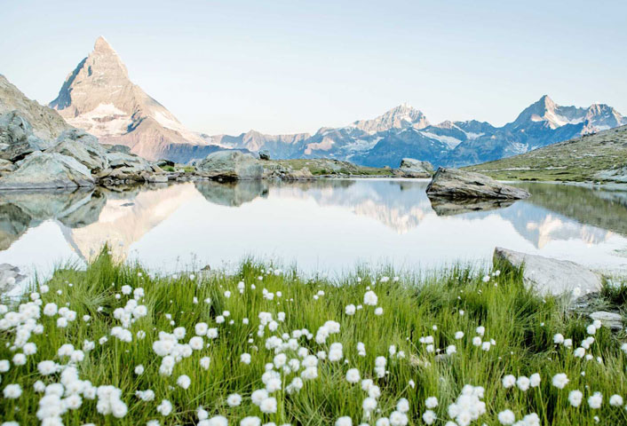 BUPA_VIS_ArtificialTurf_SwissExpertiseWOIcon